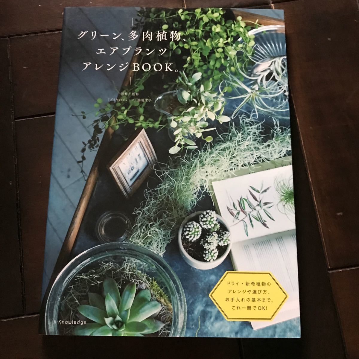  зеленый, суккулентное растение, воздушный растения организовать BOOK! включая налог 1650 иен! первая версия книга@! с лентой! letter pack почтовый сервис 370!. земля конец .