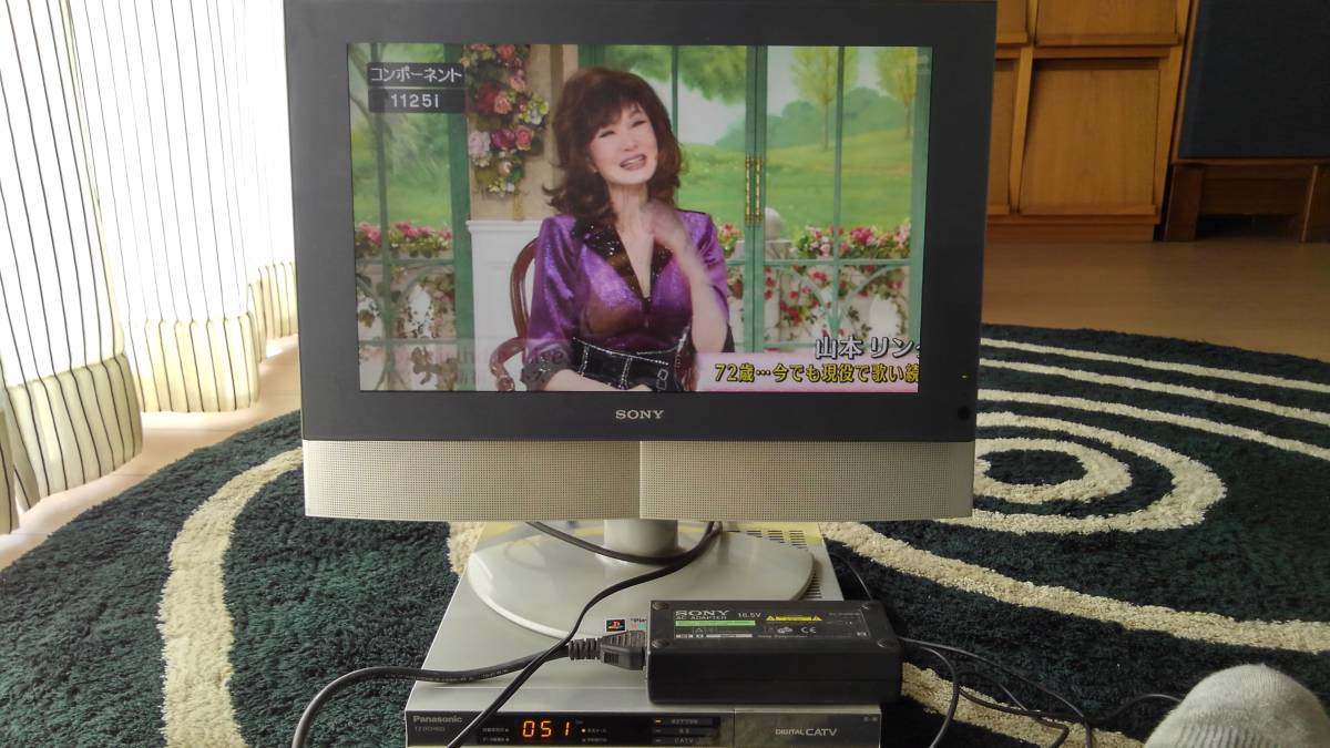 平成レトロ完璧 SONY WEGA KLV-17HR1＋PANASONIC TZ-DCH800/アナログ液晶＋CATVデジタルTUNERの画像1