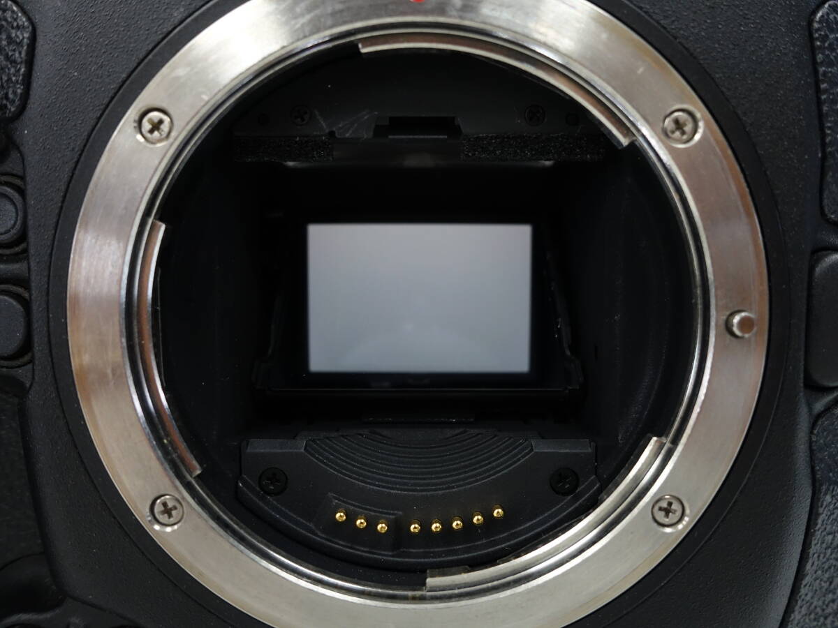 Canon EOS-1D C ボディ デジタル一眼レフカメラ デジタルシネマカメラ 動作品 シャッター回数僅か *396958_画像3