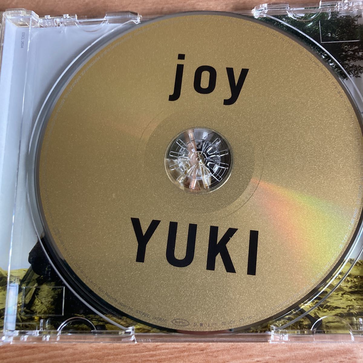 ＹＵＫＩ／ｊｏｙ_画像4