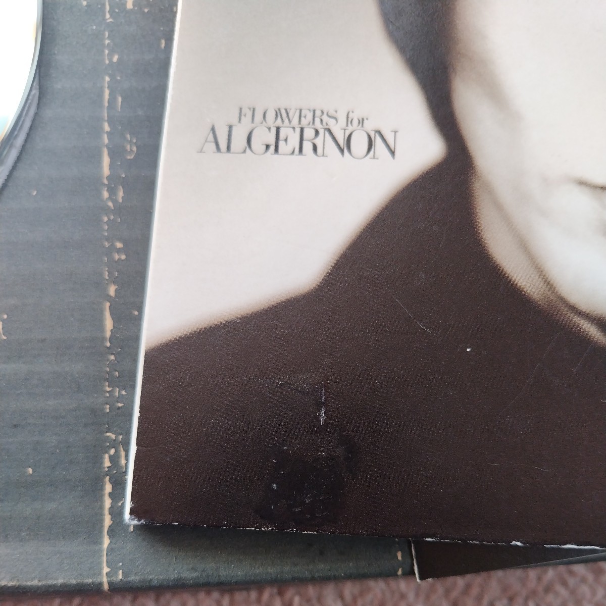 レンタル使用中古CDアルバム　FLOWERS for ALGERNON フラワーズ・フォア・アルジャーノン　氷室京介　ジャケット盤_シール剥がし跡あります