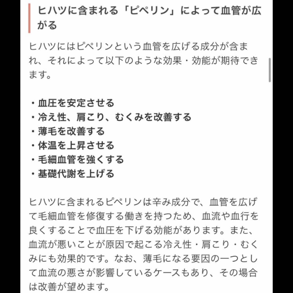 冷えが気になる方へ　温巡ジンジャーブレンド 私の30日茶 1ヶ月分30TB