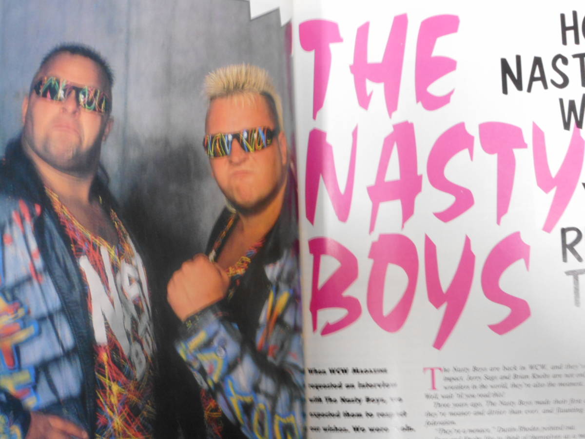 WCWマガジン1993年11月号　ベイダーＶＳカクタス・ジャック、アーン・アンダーソン、ハーリー・レイス、ナスティ・ボーイズ_画像9