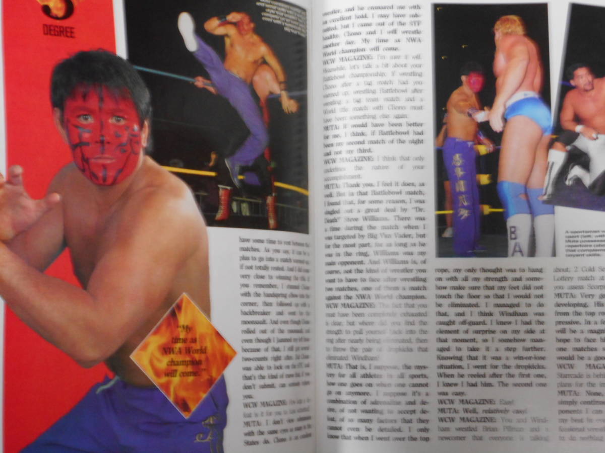 WCWマガジン1993年4月号　リック・ルード、メドゥーサ、スティング、ベイダー、グレート・ムタ、スティーブ・ウィリアムス、_画像7