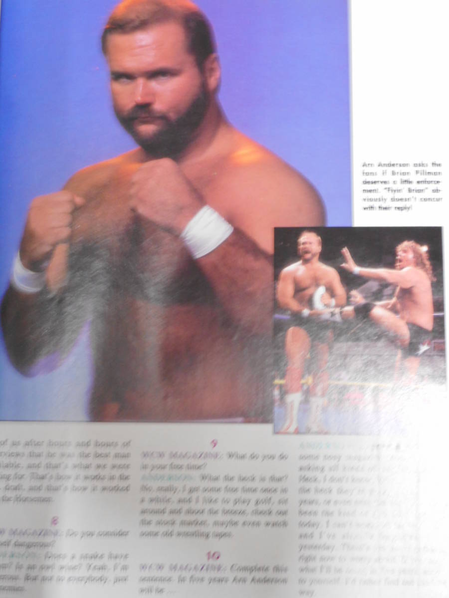 WCWマガジン1993年11月号　ベイダーＶＳカクタス・ジャック、アーン・アンダーソン、ハーリー・レイス、ナスティ・ボーイズ_画像6
