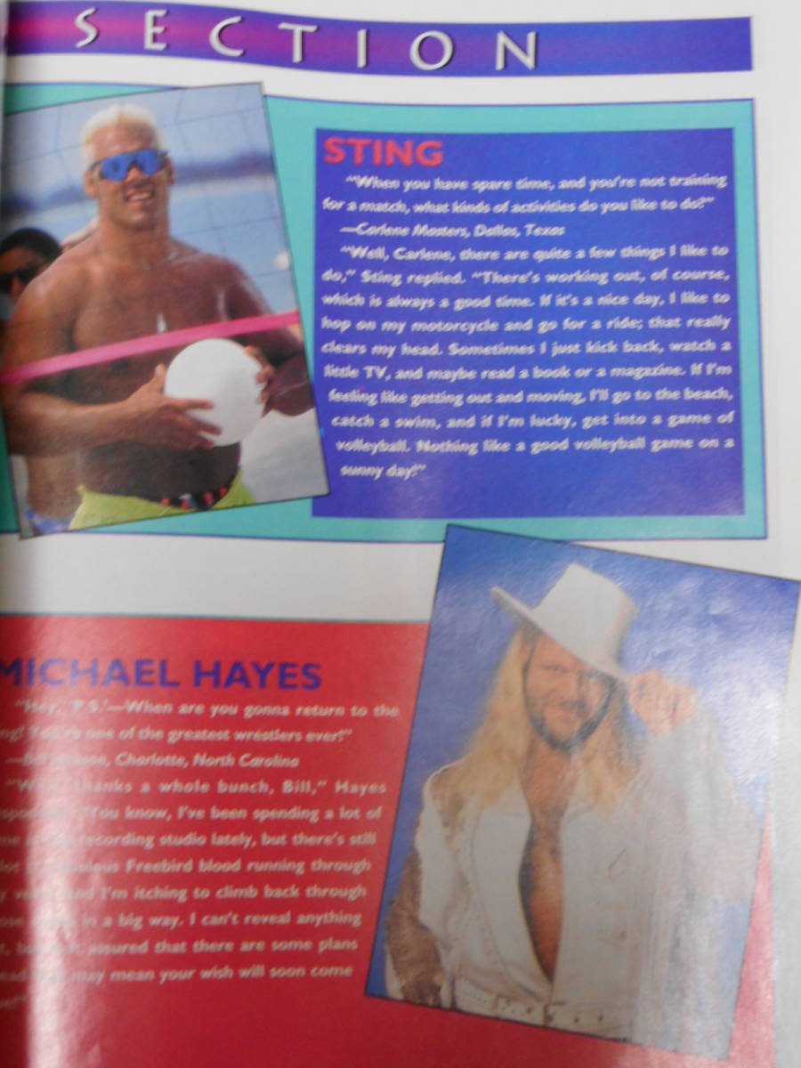 WCWマガジン1993年11月号　ベイダーＶＳカクタス・ジャック、アーン・アンダーソン、ハーリー・レイス、ナスティ・ボーイズ_画像8