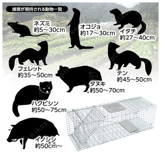 【新品：送料2200円】動物捕獲器 捕獲器 アニマルトラップ L サイズ 79×33×28cm トラップ 箱罠 駆除 捕獲 踏板式 アニマルキャッチャー _画像6