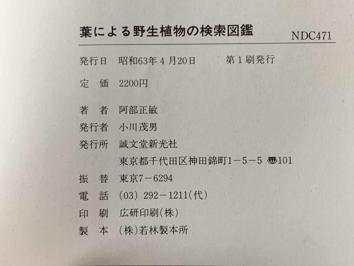 葉による野生植物の検索図鑑 昭和63年4月20日　第1刷発行 著者　阿部 正敏 発行所　株式会社新光社_画像10