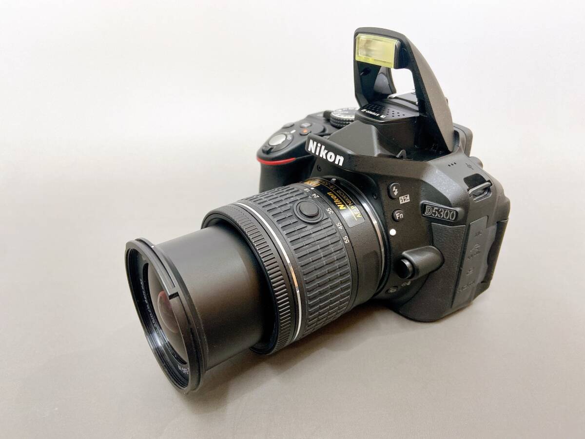 ショット数761枚！美品！Nikon D5300 AF-P 18-55 VR デジタル一眼レフカメラ レンズキット D5300LKP18-55_画像8