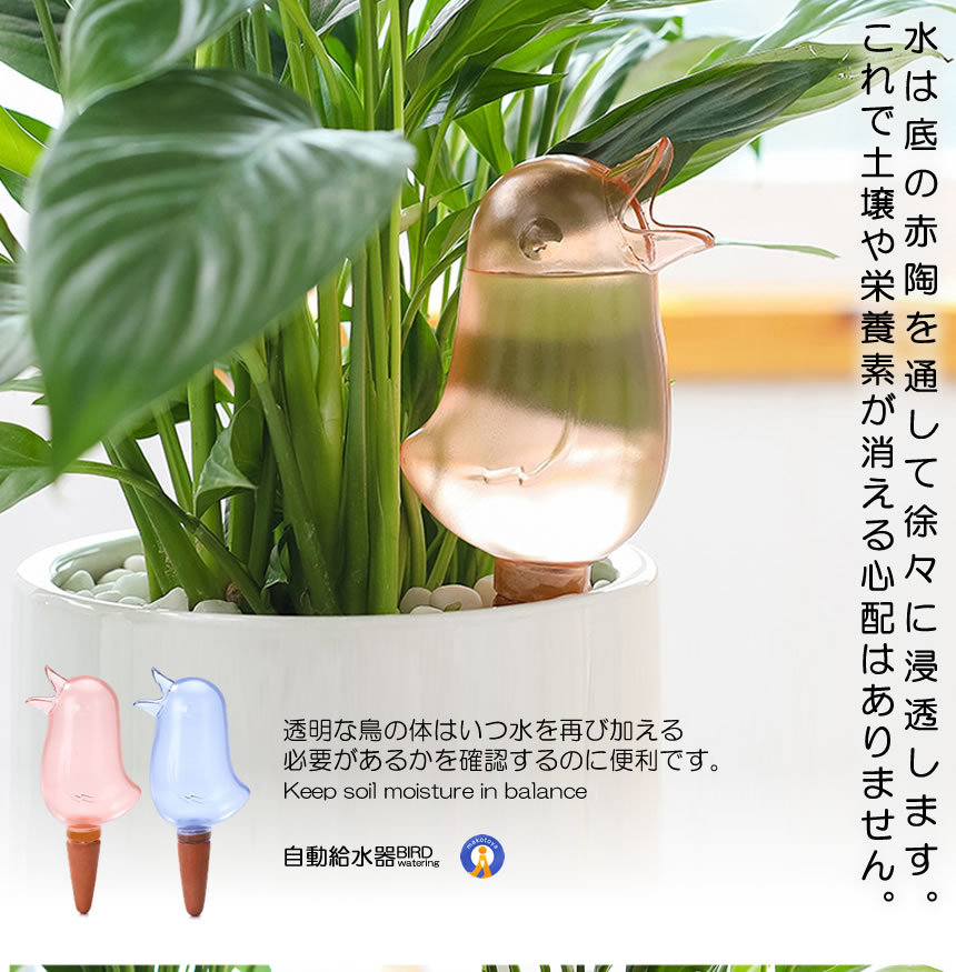 自動給水器 2色セット 鳥型 自動 水やり器 植物 給水やり当番 給水キャップ じょうろ 観葉植物 散水ツール ガーデニング 2-BIRDMIZU_画像5