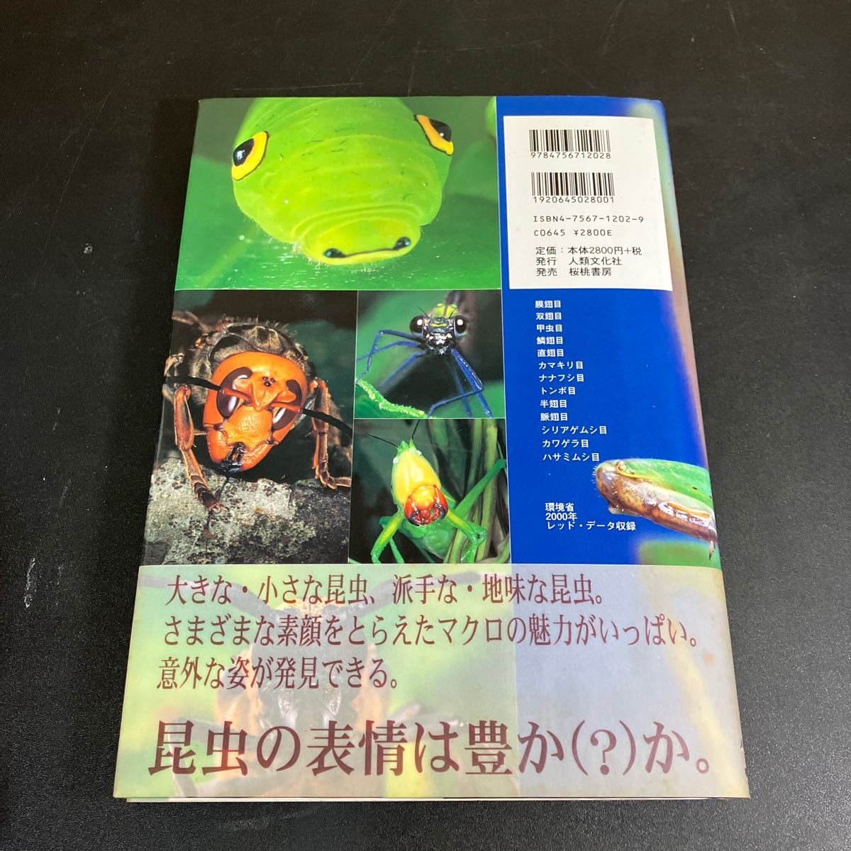 24-2-12. 昆虫顔面大博覧会 日本の昆虫たち／海野和男 (著者)_画像6