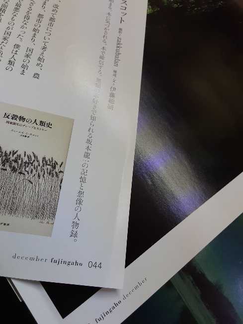 ☆☆☆　坂本龍一　「坂本図書」　連載物　切り抜き　５８P　☆☆☆_画像9