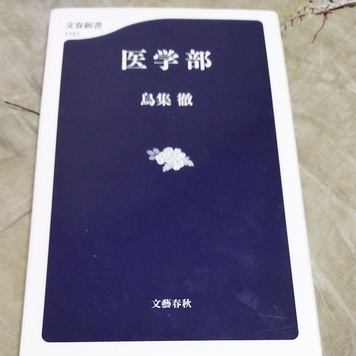 医学部 （文春新書　１１５１） 鳥集徹／著