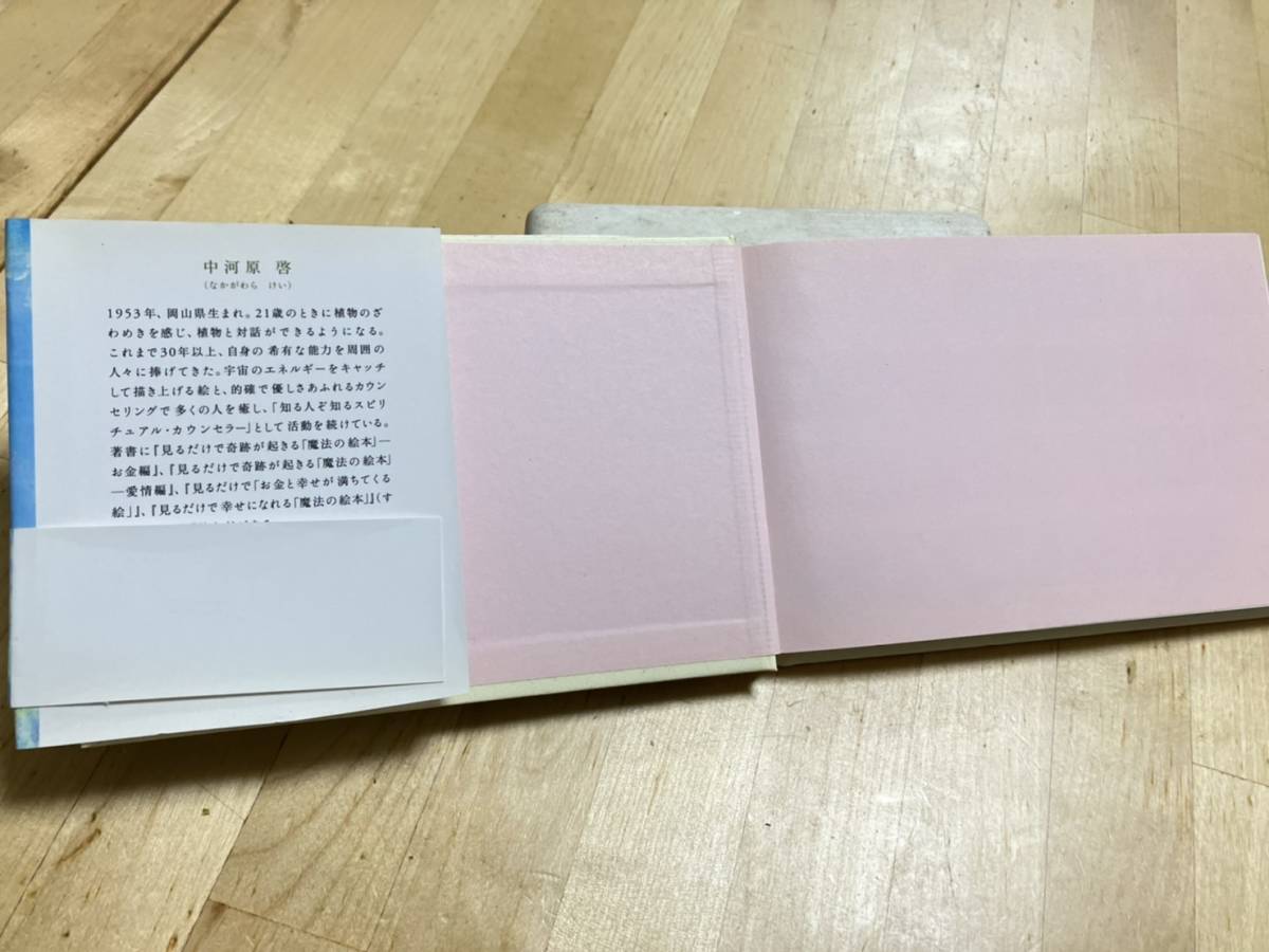 幸せを呼ぶ 魔法の絵 ポストカード BOOK 中河原 啓 / ポストカード セット 本 マキノ出版の画像3