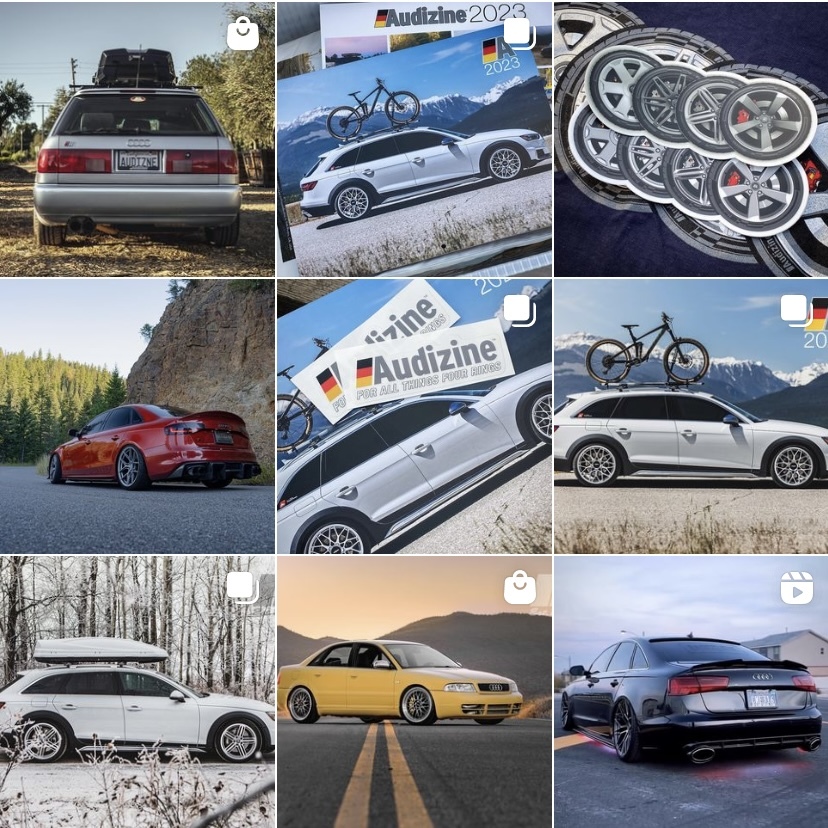 Audizine.com ステッカー　オーバル　★パール★小★　 USDM AUDI アウディジン_画像5