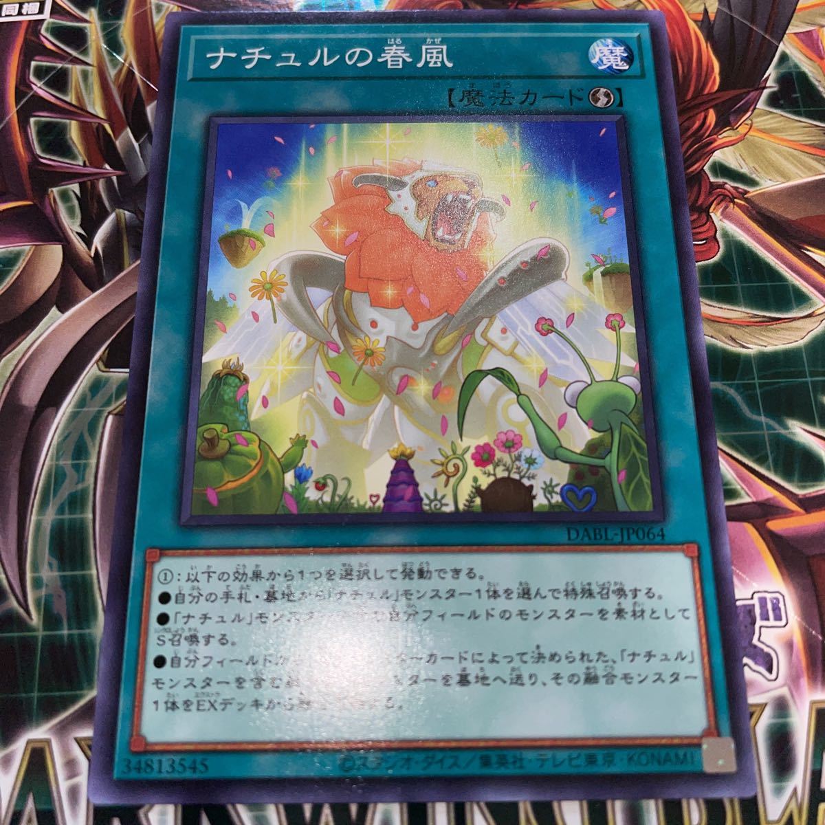 遊戯王　ノーマル　DABL-JP064　ナチュルの春風　 DARKWING BLAST_画像1