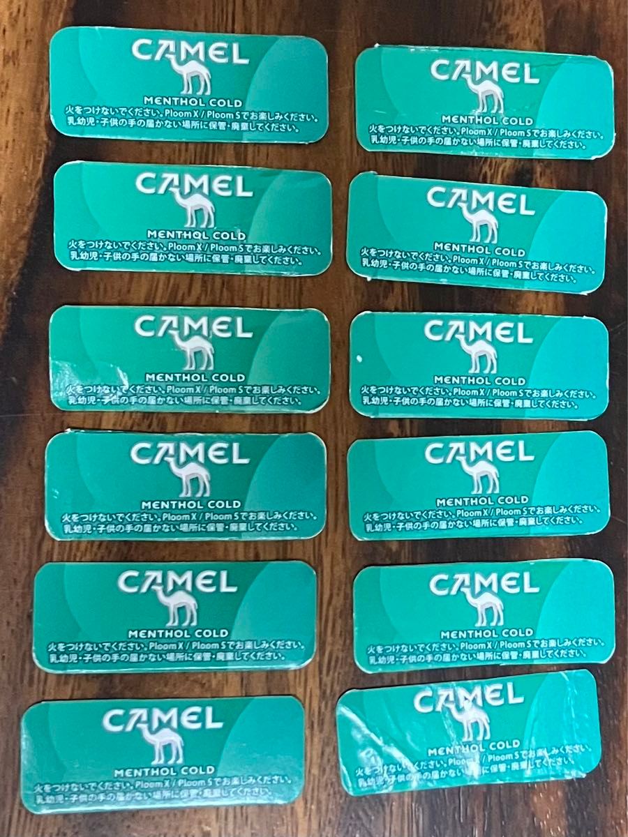 プルームX CAMEL QRコード 12枚