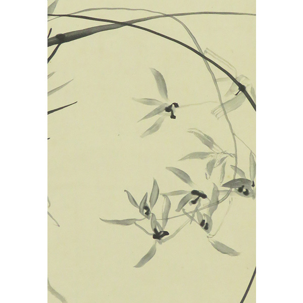 B-4156【真作】小坂芝田 肉筆紙本 蘭花図 掛軸/日本画家 長野 師・ B-4156【真作】小坂芝田 肉筆紙本 蘭花図 掛軸/日本画家 長野 師・