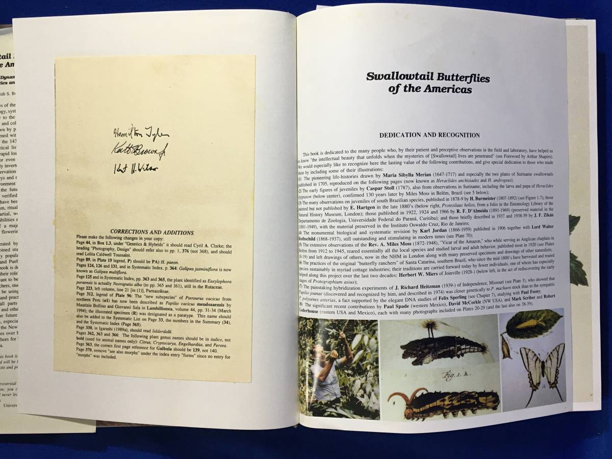 レB442サ△「Swallowtail Butterflies of the Americas」 TYLER BROWN WILSON アメリカ アゲハチョウ 蝶 ハミルトン・タイラー 洋書 - 昆虫 レB442サ△「Swallowtail Butterflies of the Americas」 TYLER BROWN WILSON アメリカ アゲハチョウ 蝶 ハミルトン・タイラー 洋書 - 昆虫