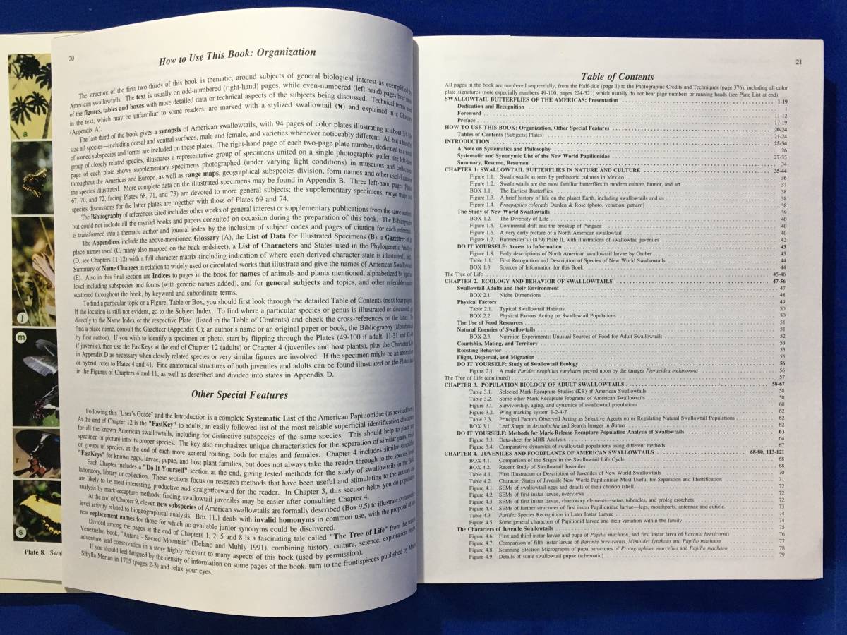レB442サ△「Swallowtail Butterflies of the Americas」 TYLER BROWN WILSON アメリカ アゲハチョウ 蝶 ハミルトン・タイラー 洋書 - 昆虫 レB442サ△「Swallowtail Butterflies of the Americas」 TYLER BROWN WILSON アメリカ アゲハチョウ 蝶 ハミルトン・タイラー 洋書 - 昆虫