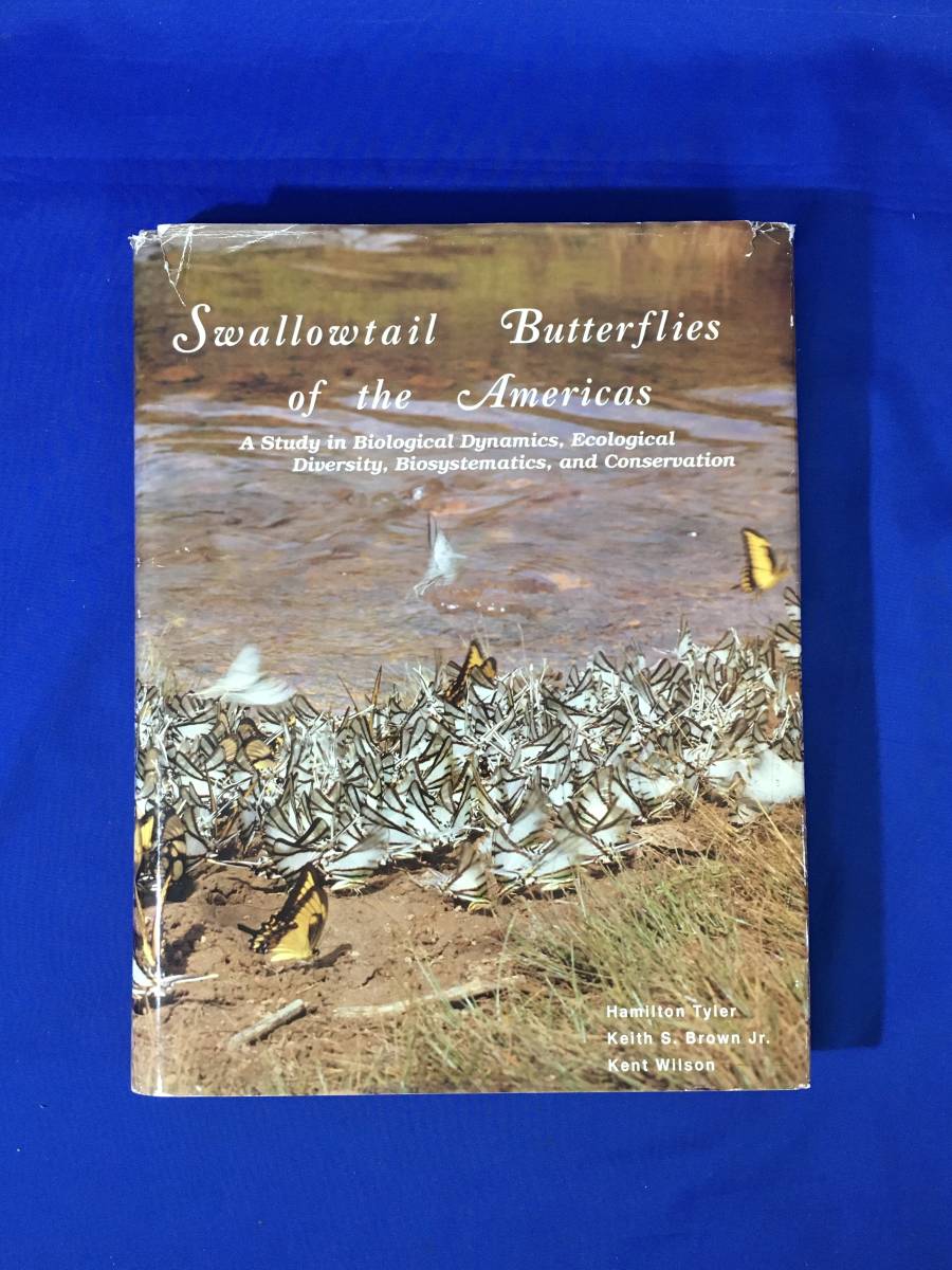 レB442サ△「Swallowtail Butterflies of the Americas」 TYLER BROWN WILSON アメリカ アゲハチョウ 蝶 ハミルトン・タイラー 洋書 - 昆虫 レB442サ△「Swallowtail Butterflies of the Americas」 TYLER BROWN WILSON アメリカ アゲハチョウ 蝶 ハミルトン・タイラー 洋書 - 昆虫