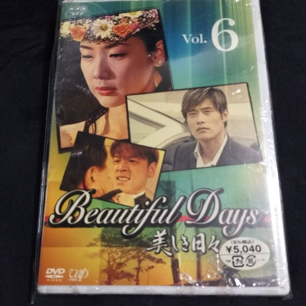 新品DVD/美しき日々 Vol.6*180分+特典4分/イ・ビョンホン (出演), チェ・ジウ (出演)_画像1