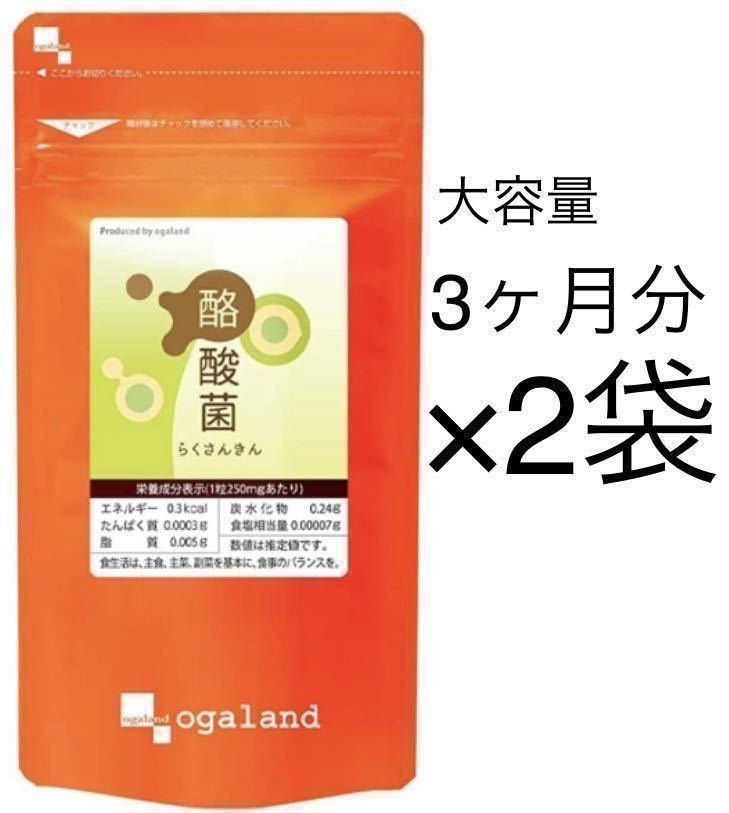 ★送料無料★酪酸菌 約6ヶ月分(2025.3~)(3ヶ月分90粒入り×2袋)大容量 腸内フローラ オーガランド サプリメント_画像1