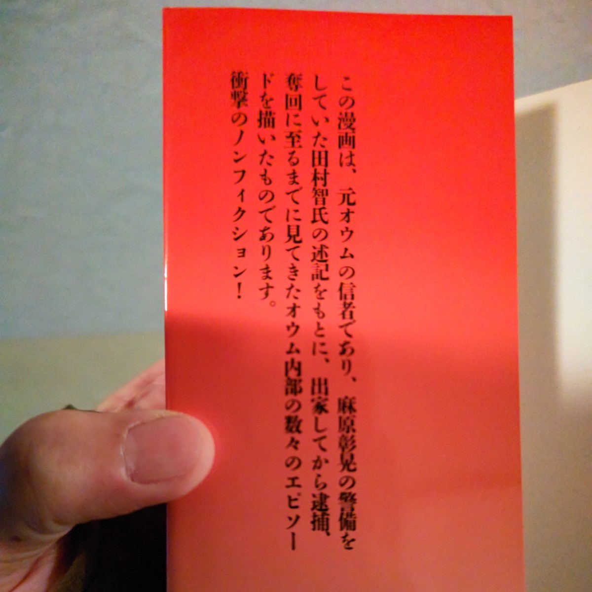 麻原はただのオッサンだ 原作:田村智 漫画:甲斐直人 桜書房 世界を震撼させたアノ人物 初版_画像6