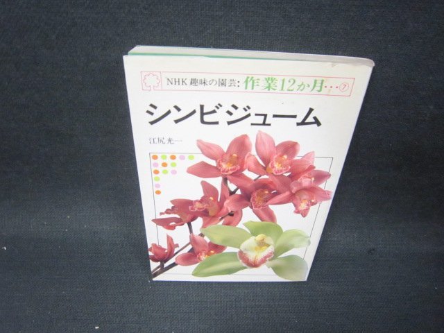 NHK趣味の園芸作業12ヵ月7　シンビジューム　シミ有/SAX_画像1