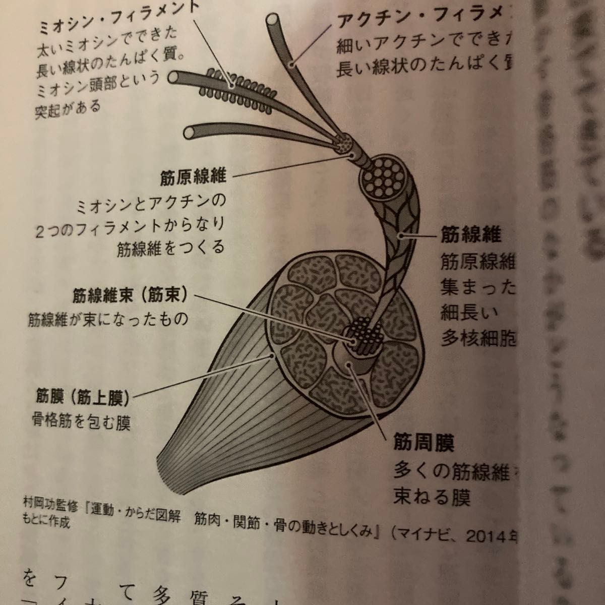 体力の正体は筋肉　2018年6月27日発行　筋トレ