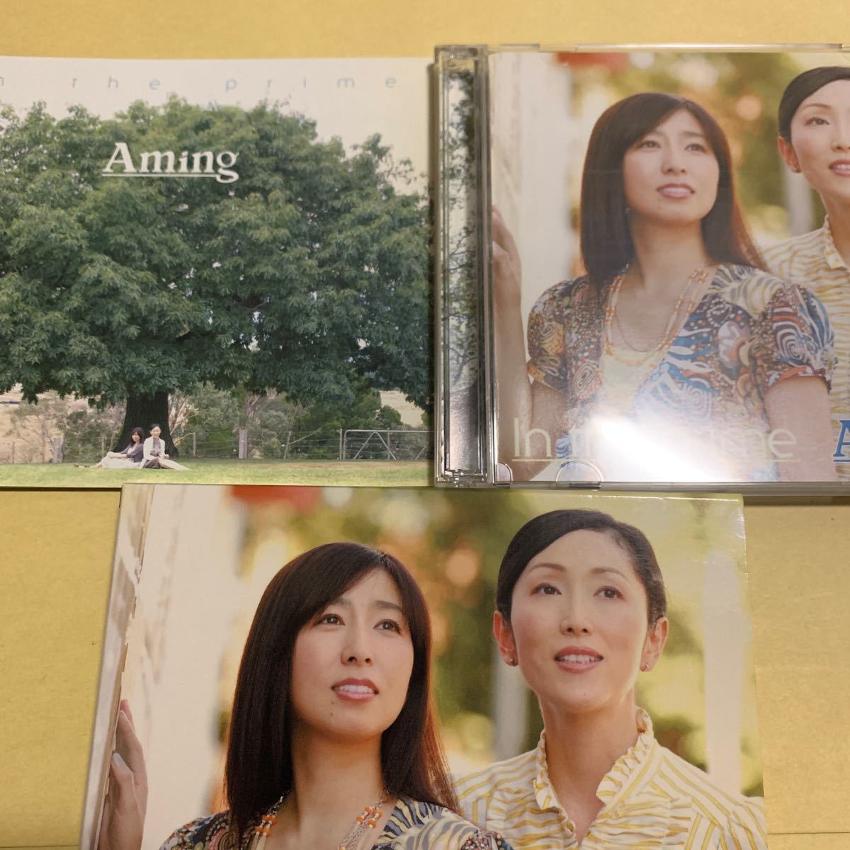 あみん / in the prime 初回限定盤　CD+DVD 岡村孝子_画像3