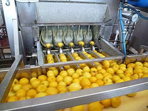 【残りわずか】 700ミリリットル x 1 サイズ: 有機レモンストレート果汁100% 700ml ボトルの画像7