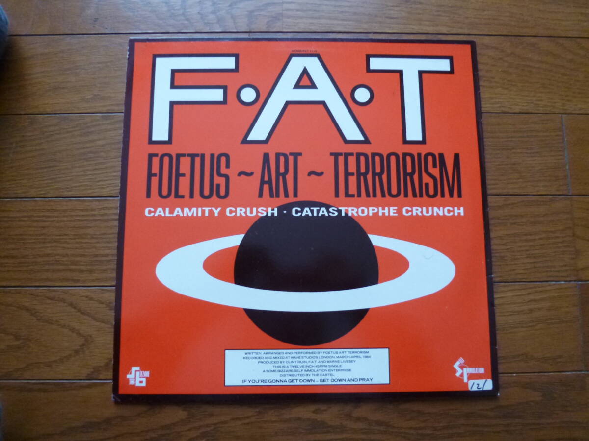 LP FOETUS ART TERRORISM / CALAMITY CRUSH. 12インチシングル_画像2