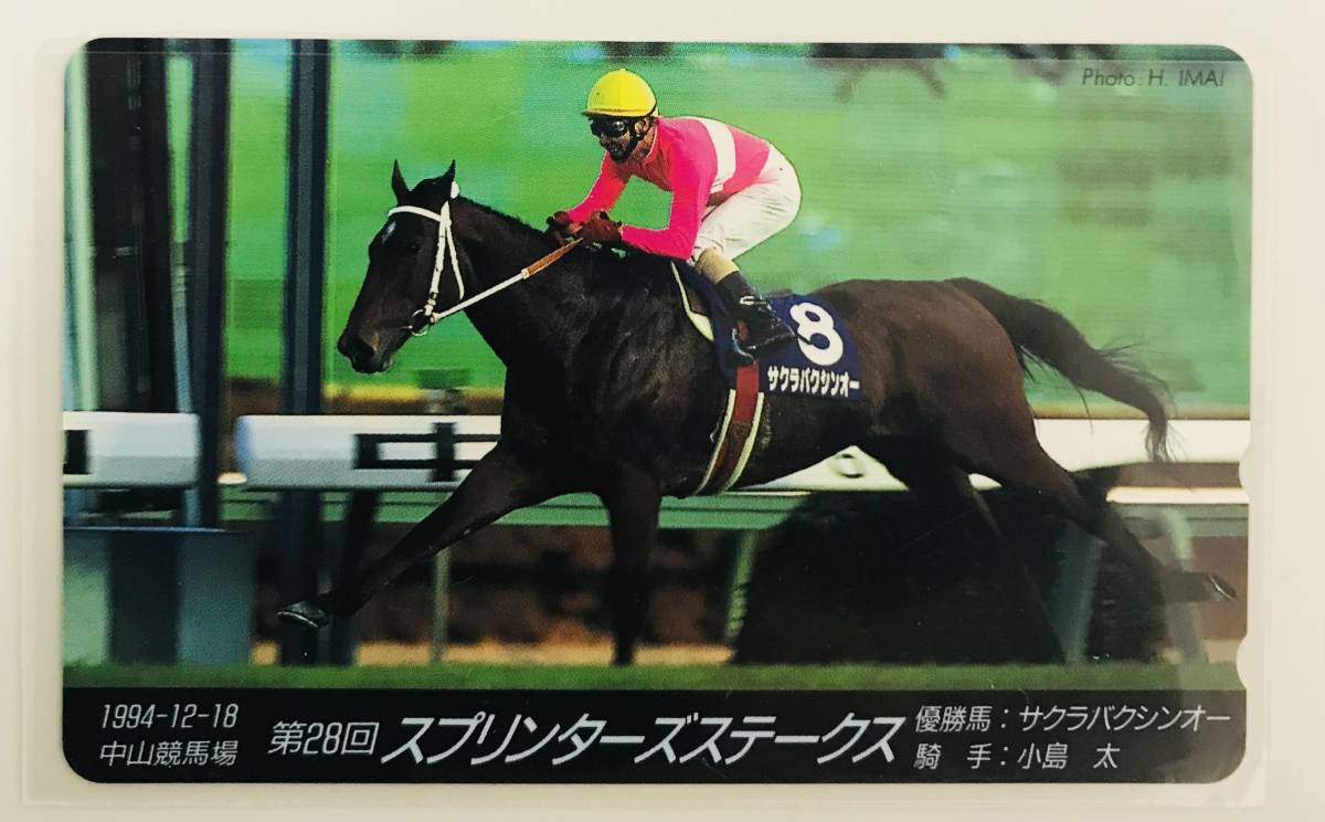 ★　テレカ　おまとめ7枚　★　競馬　優勝馬　★　テレホンカード　50度数　7枚　★_画像3