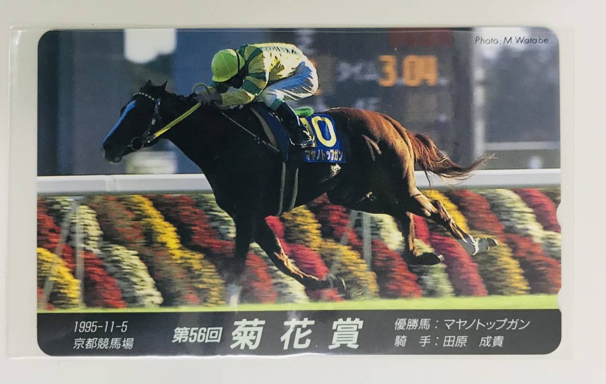 ★　テレカ　おまとめ7枚　★　競馬　優勝馬　★　テレホンカード　50度数　7枚　★_画像6