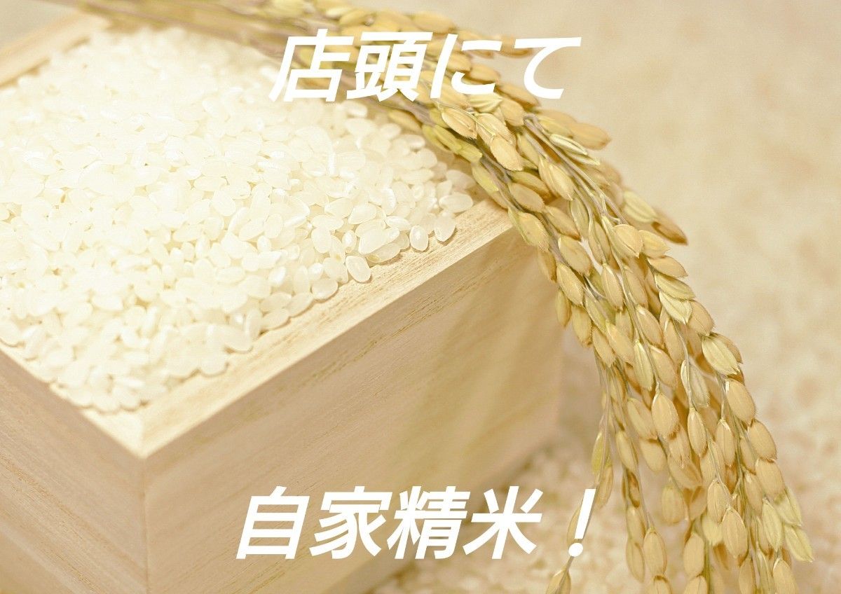 米ぬか 600g【米屋が自家精米して作った新鮮米ぬか】