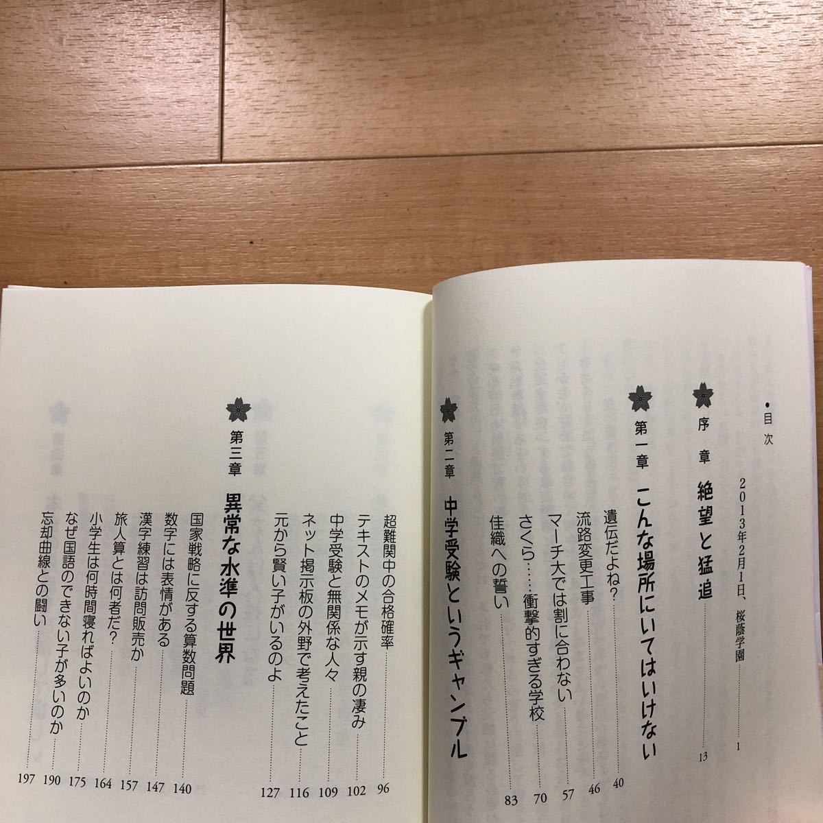 【A】2冊セット　桜井さん、うちの子受かりますか？中学受験親の悩みにすべて答えます&下剋上受験_画像5