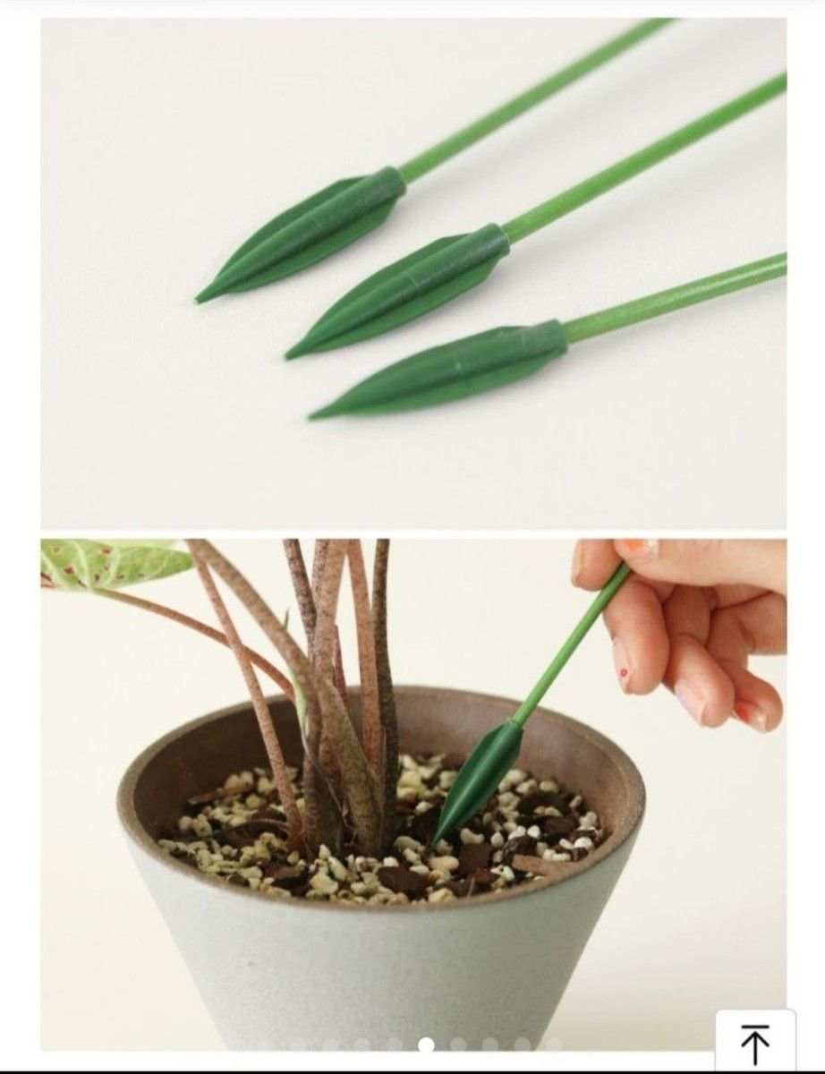 プラスチック製 植物支持クリップ ラン茎 つる 花束枝 園芸用具 8個セット 匿名発送