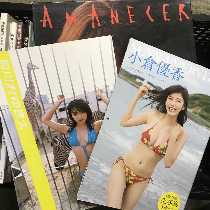 2 写真集 まとめて 35冊 セット オードリー・ヘップバーン ももクロ 松井玲奈 新藤美彩 渡邉理佐 薬師丸ひろ子 雛形あきこ 高橋由美子 他_画像6