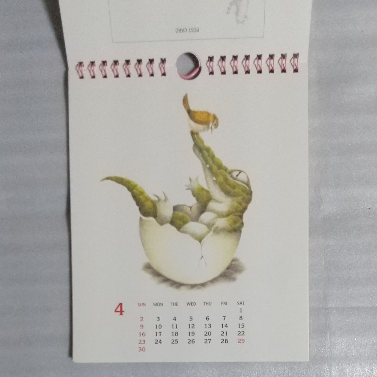 わちふぃーるど　ダヤン　ポストカードカレンダー　2006