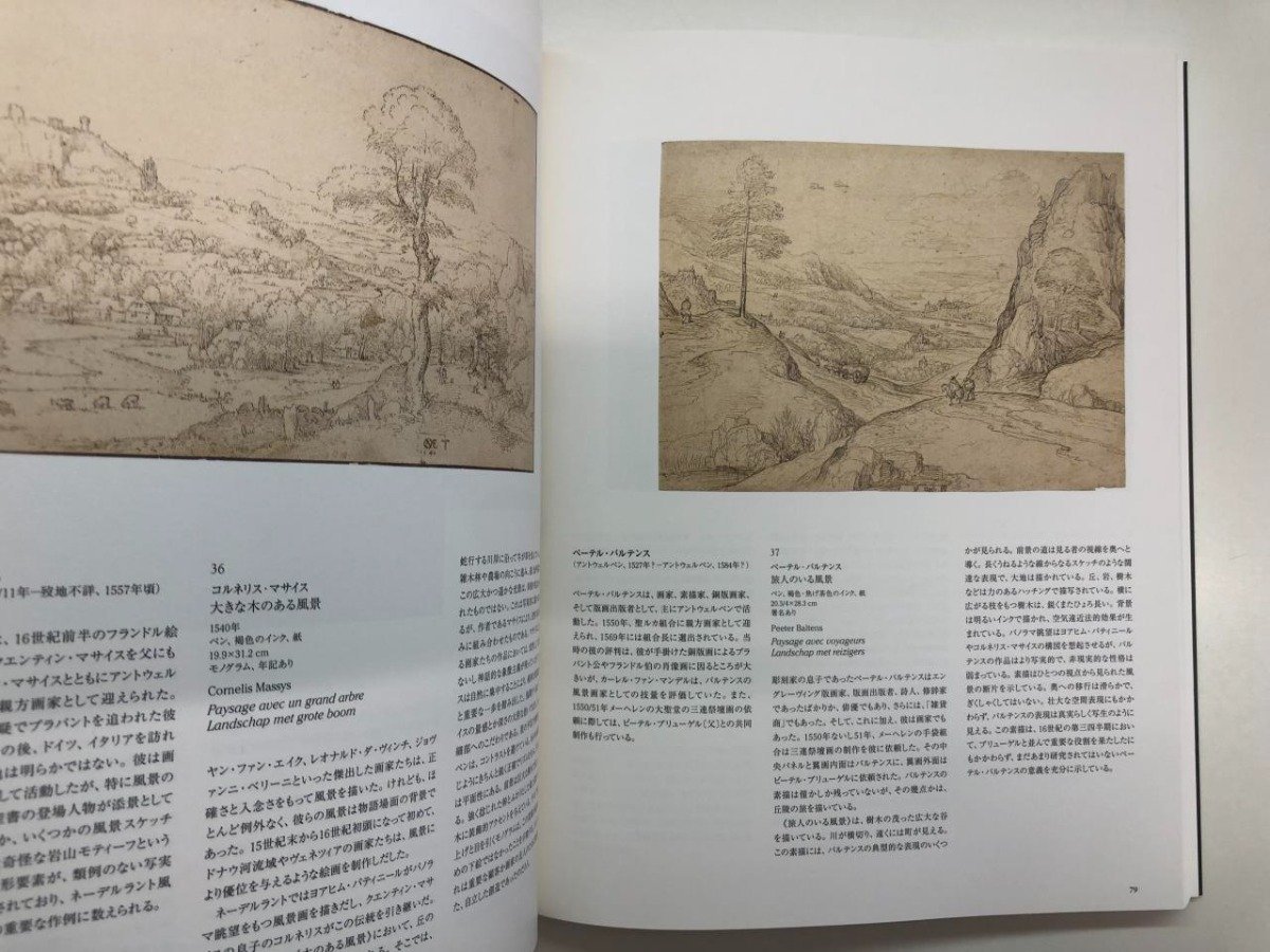 ★　【図録 ベルギー王立美術館展 国立西洋美術館ほか 2006年】116-02402_画像5