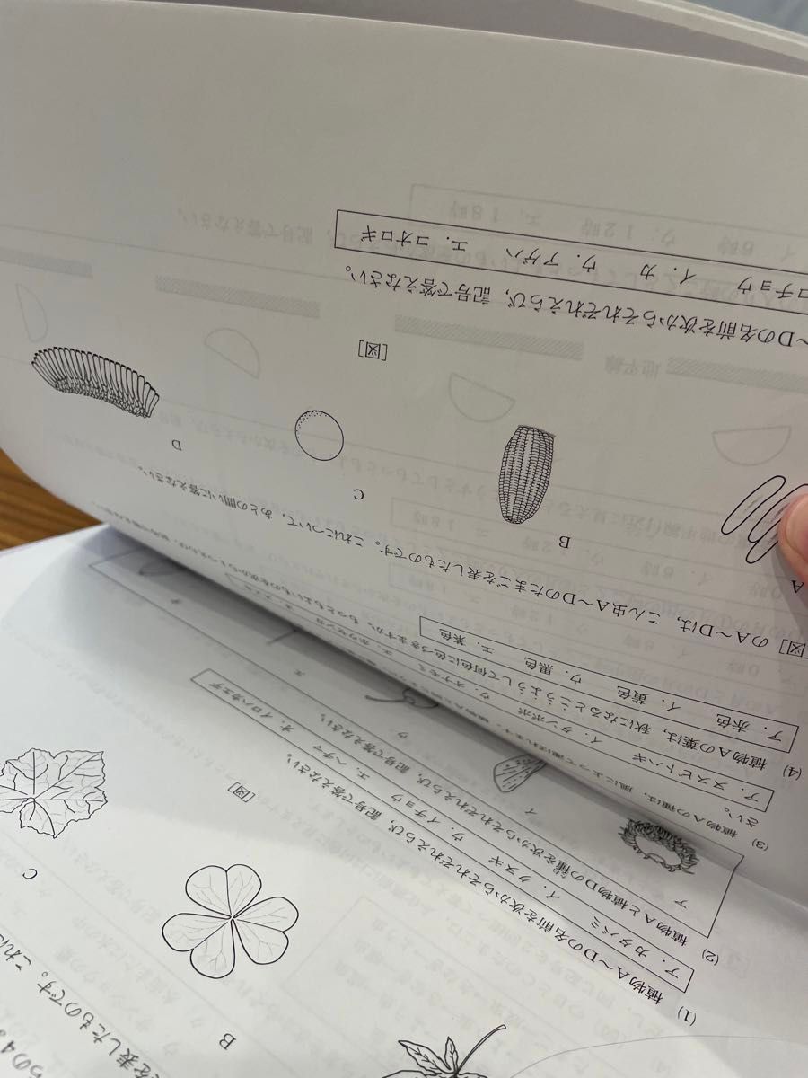 2023年最新版　浜学園小4公開学力テスト