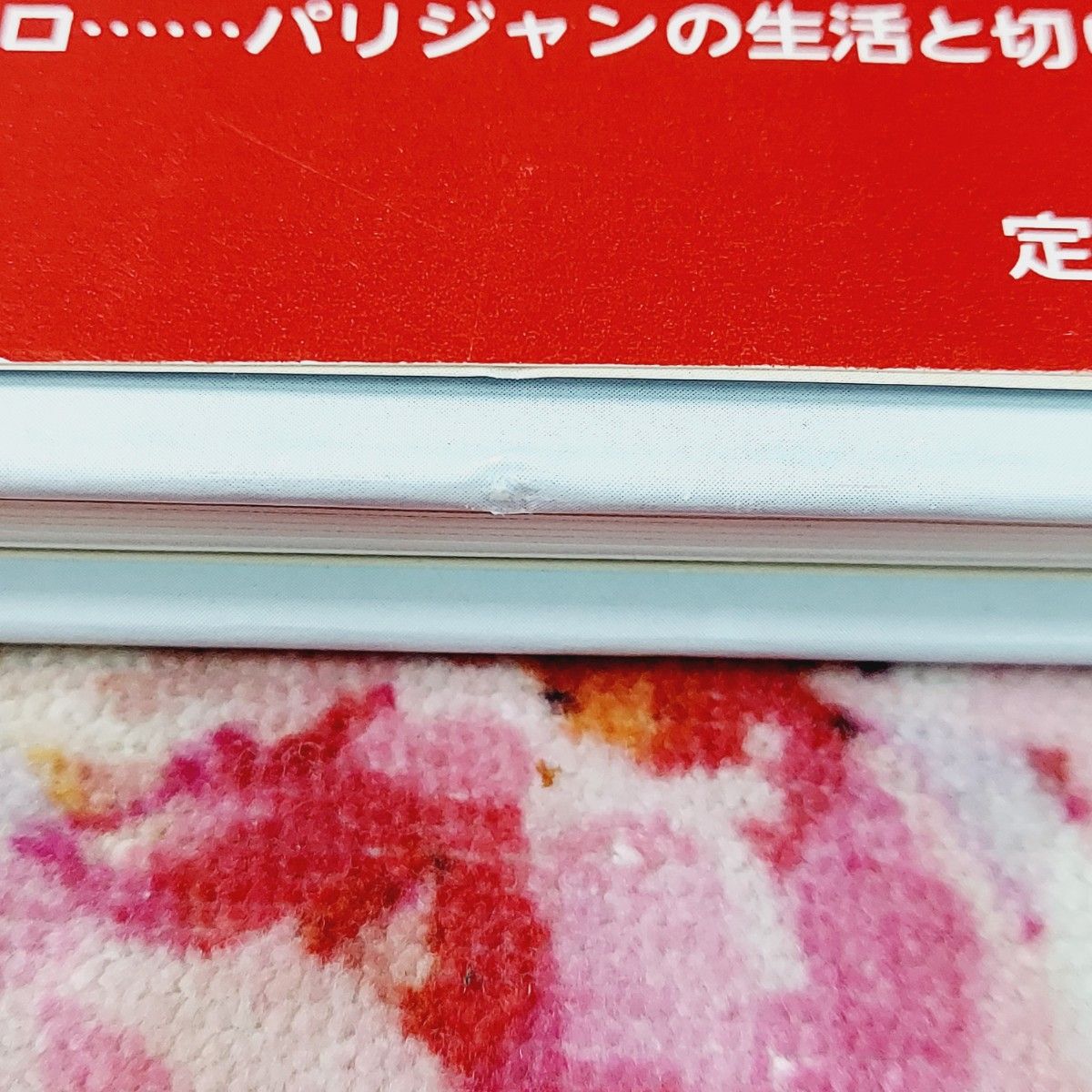 パリの街並みと暮らし　知られざる魅力 マリー・ル・ゴアジウ／著　リズ・エルツォーグ／絵　前島美知子／訳