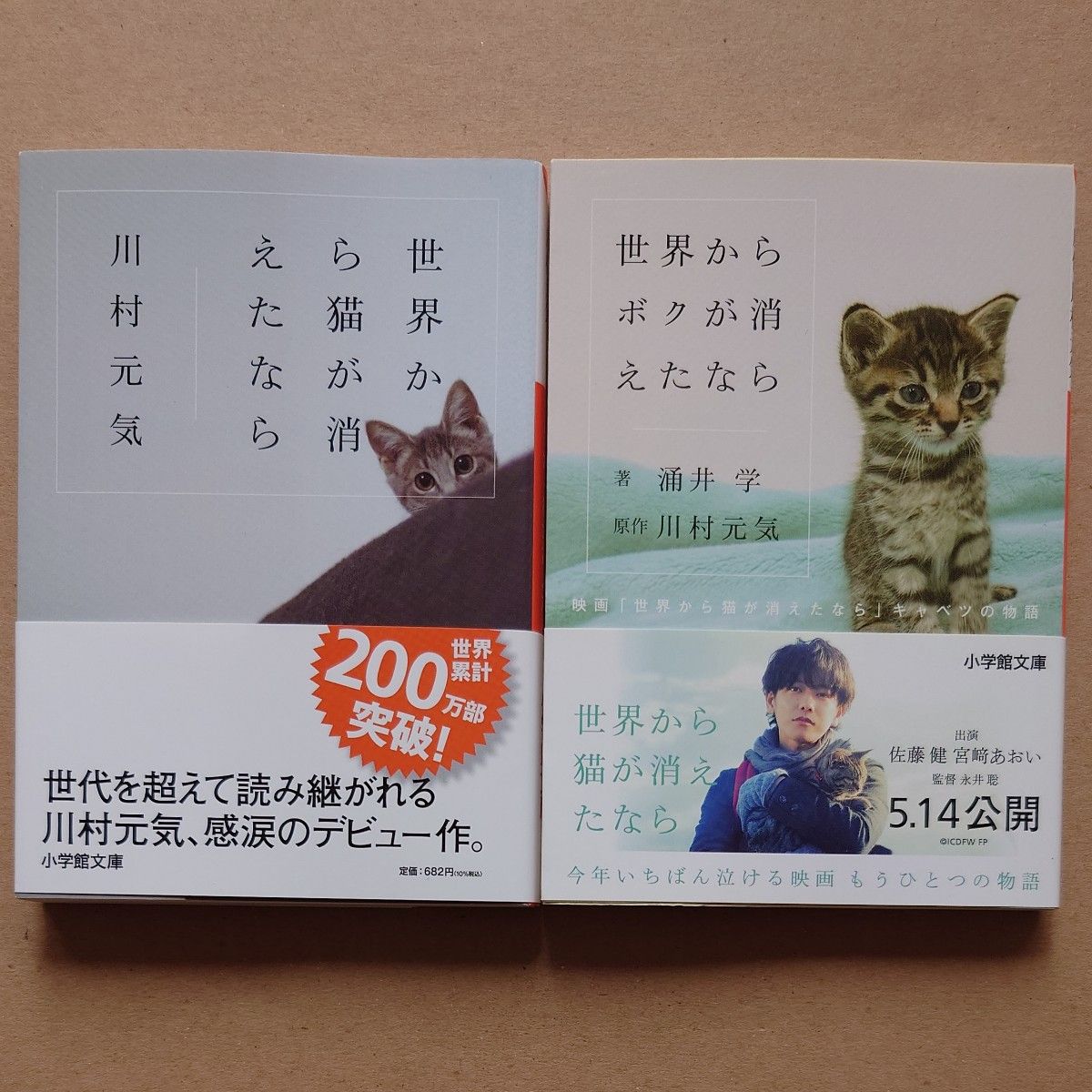 世界から猫が消えたなら 川村元気／著　世界からボクが消えたなら 川村元気／原作　涌井学／著