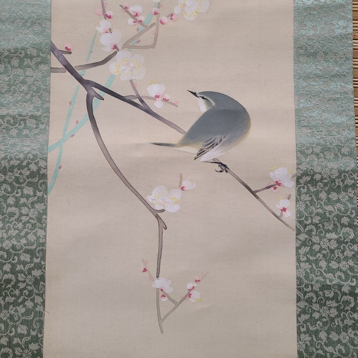 【模写】掛軸 彩色絹本 花鳥図「梅」/日本画 茶道具 床の間 しつらい 和室 インテリア　日本美術 風景画_画像4