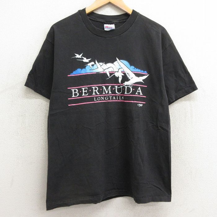 L/古着 ヘインズ 半袖 ビンテージ Tシャツ メンズ 90s 鳥 バミューダ コットン クルーネック 黒 ブラック 24feb22 中古_画像1