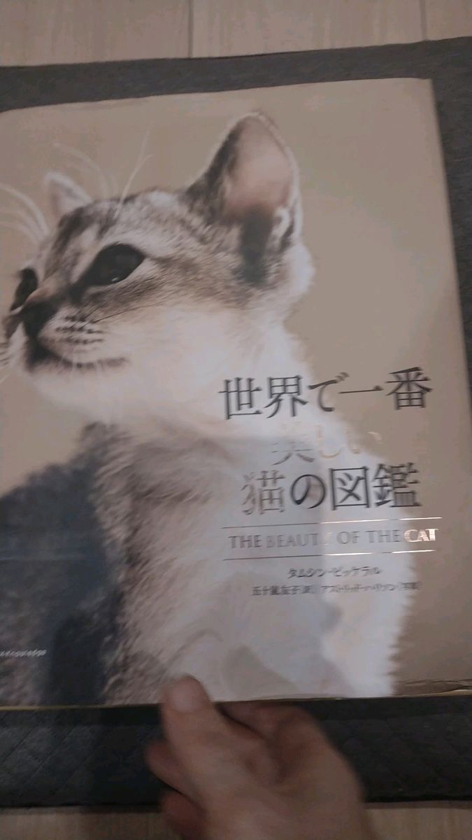 【猫図鑑】世界で一番美しい猫の図鑑　タムシン・ ピッケラル　4180円の品　外国の猫の写真と説明 