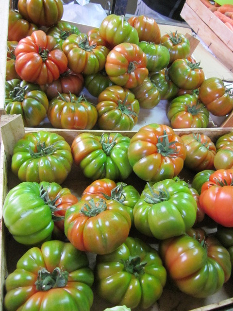 イタリアントマト コストルート・ディパルマ 種15粒 固定種 Franchi_画像3