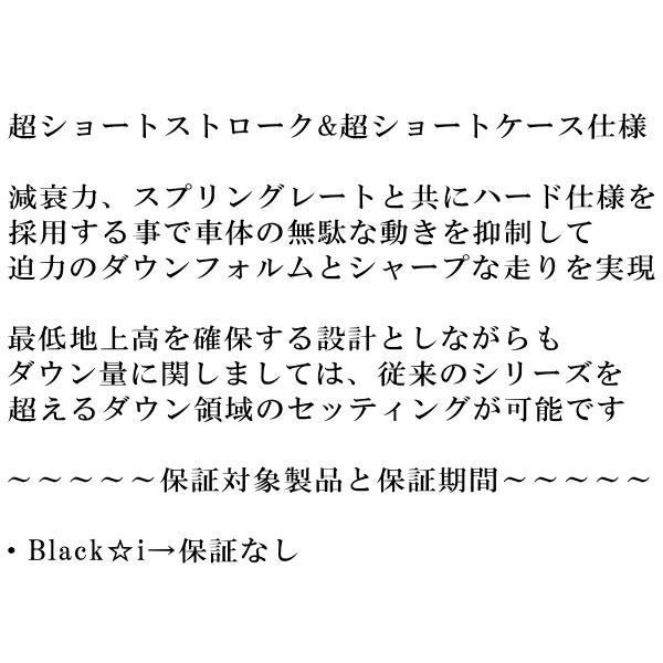 RSR Black-i 車高調 RG3ステップワゴン 2005/5～2009/9_画像2