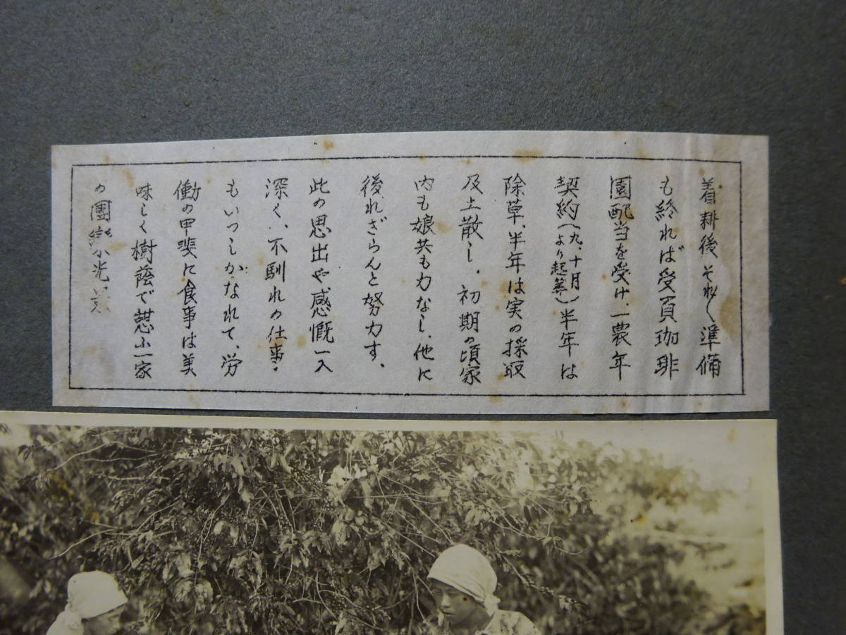 8−9)大珍品貴重 戦前1933年5月ブラジル移民の写真アルバム「 8−9)大珍品貴重 戦前1933年5月ブラジル移民の写真アルバム「